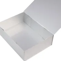 Glans gelamineerde magneetdozen Zilver - 23x23x11cm - 25 stuks