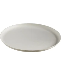 Bagastro Suikerriet Bord Rond Wit/240mm - 40 stuks