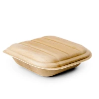 Palmblad Take-Away box Vierkant + Deksel 20x20x5cm - 100 st/ds.