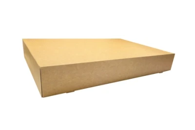 Cateringdoos groot Karton - 557x376x80mm - 40 st/ds.